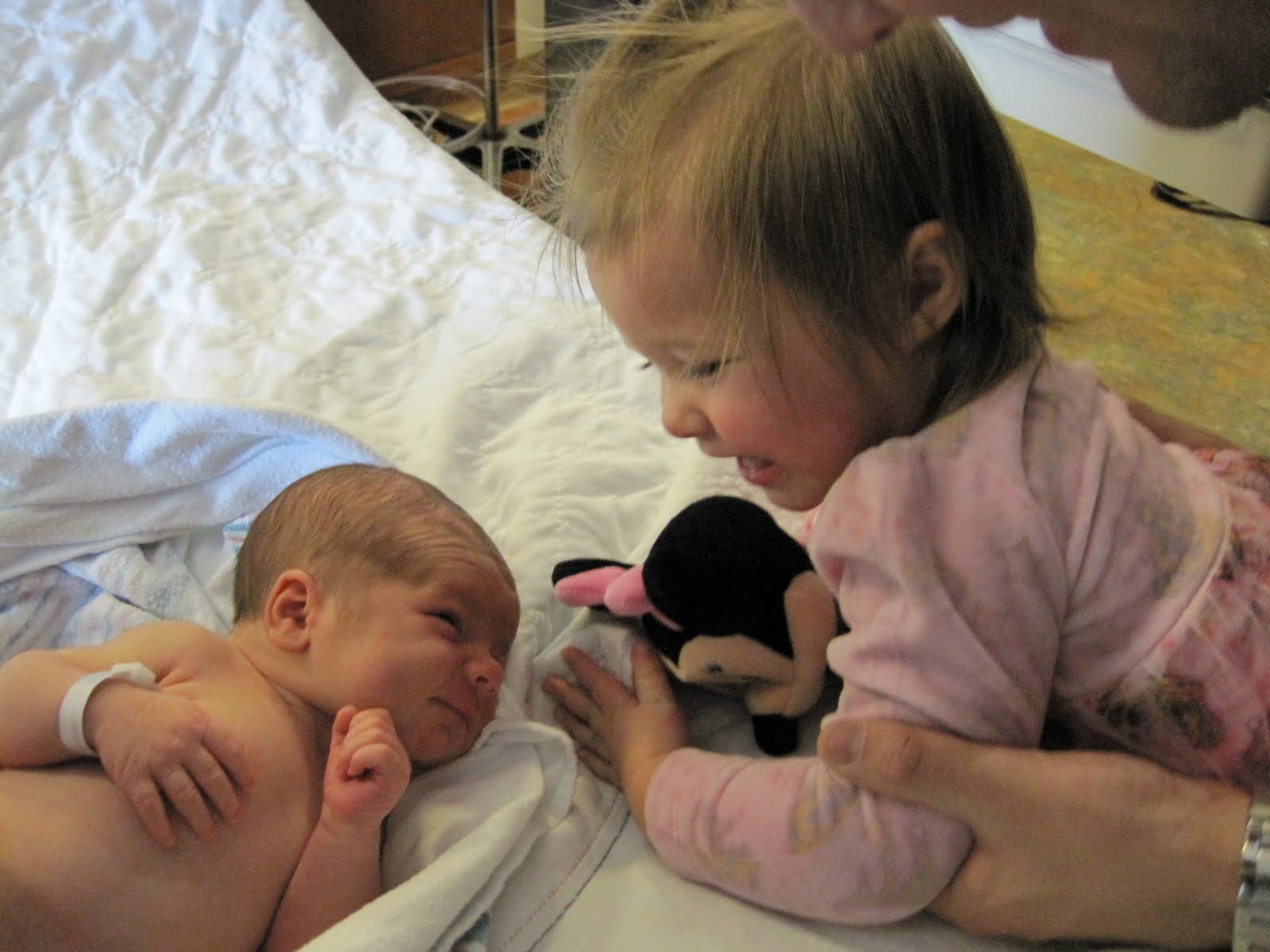 [IMG_0225[1]]